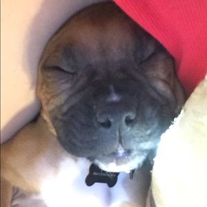 Meet your Posher, Marion